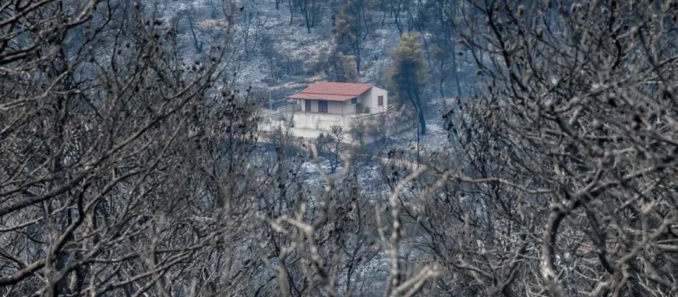 Φωτιά στα Βίλια - Αποκαρδιωτικές εικόνες: Δείτε τι άφησε πίσω της η πυρκαγιά (φώτο)